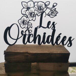 Orchidées (Fleur)