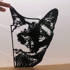 Chat (a partir de photo)
