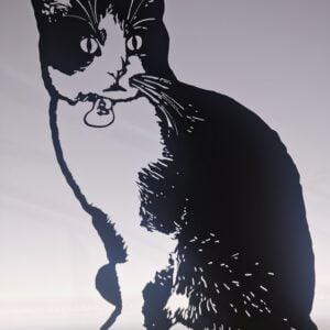 Chat (a partir de photo)