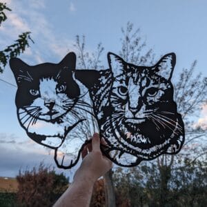 Chats (à partir de photo)