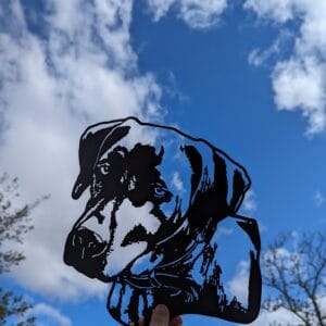 Modèle d'après photo