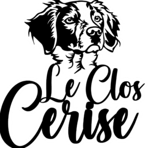 Chien perso